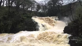 Ingleton Waterfalls in flood