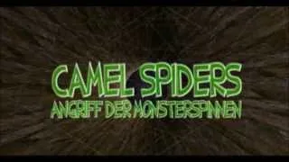 (Kleines) Silvester Special: Camel Spiders- Angriff der Monsterspinnen