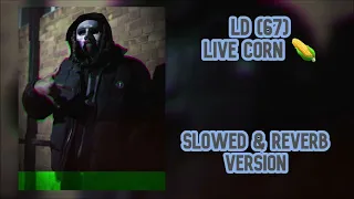 LD (67) - Live Corn (Slowed & Reverb)