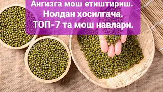 ТАКРОРИЙ ЭКИНГА МОШ ЕТИШТИРИШ. НОЛДАН ХОСИЛГАЧА. ТОП 7 ТА МОШ НАВЛАРИ