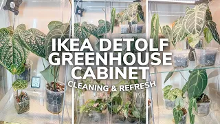 IKEA Detolf Greenhouse Cabinet Refresh & Plant Tour | Double Detolf Greenhouse Cabinet Plant Updates