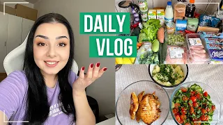 Daily Vlog | Ne-am gasit apartament, cumparaturi alimentare din Lidl, gatim ceva rapid