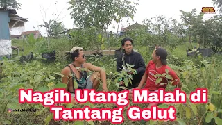 TUKANG TAGIH GUPLAK #mlekoki