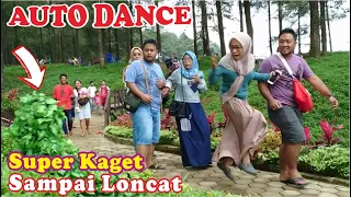 AUTO DANCE at HUTAN PINUS LIMPAKUWUS with BUSHMAN PRANK