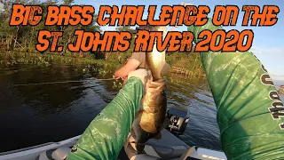 Big bass challenge on the St  Johns River 2020