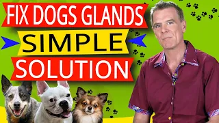 How To Fix Dog's Glands (Simple Food Remedy Works - Try First!)