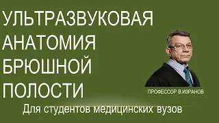 Ультразвуковая анатомия  органов брюшной полости и забрюшинного пространства