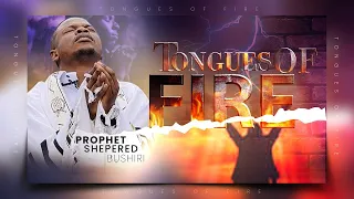 TONGUES OF FIRE ||CAST OUT SPIIRIT OF LIMITIONS|| PROPHET SHEPHERD BUSHIRI