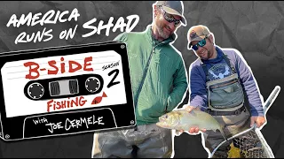 America Runs On Shad | S2E01 | B-Side Fishing