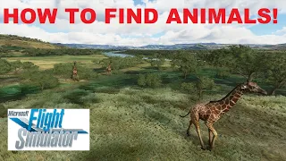 How to find ANIMALS - Microsoft Flight Simulator