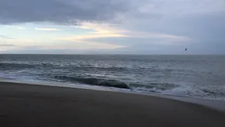 August Morning in Rehoboth Beach