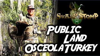 Osceola Turkey Hunting on Florida Public Land: Opening Day Success (SNS 2022-23 #26)