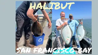 Halibut and striper fishing in the SF Bay limits on the troll