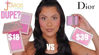 DUPE? DIOR BACKSTAGE VS JUVIA'S PLACE BLUSH + ALL DAY WEAR TEST *oily skin* | MagdalineJanet