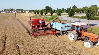 TREBBIATURA GRANO 2021 - Laverda M120