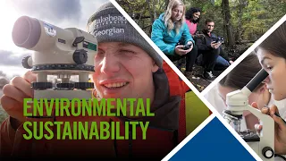 Program Spotlight: Environmental Sustainability