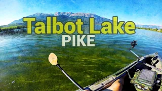 Fishing Talbot Lake, Alberta | Soooo many Pike!