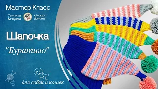 Шапочка для собаки спицами, DIY beanie for dog and cat