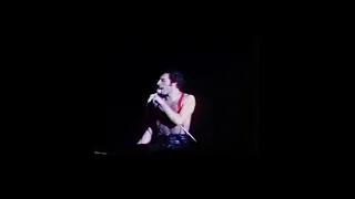 Dreamer’s ball (live killers)