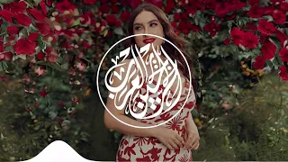 Arabic Remix Songs Collection 2024🔥مجموعة اغاني ريمكس عربية 2024