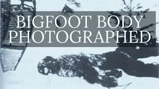 BIGFOOT BODY PHOTOGRAPHED | Is this a real Bigfoot corpse?? | MBM 66.