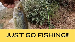 How To Catch Panfish From The Bank!  #fishing   #bankfishing