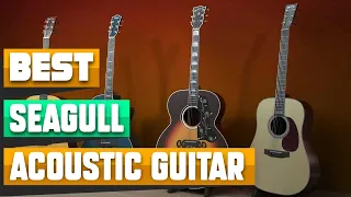 Top 10 Seagull Acoustic Guitars : Best For Ever!