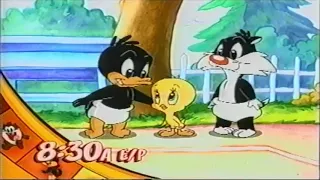 Baby Looney Tunes & The Sylvester & Tweety Mysteries Promo - Weekdays (2003)