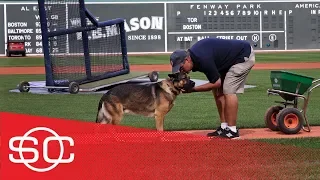 Service dog helps Red Sox’s groundskeeper deal with PTSD | SportsCenter