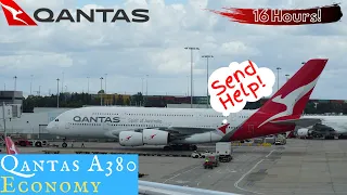 Qantas A380 ECONOMY Sydney to Dallas: Making my own first class!