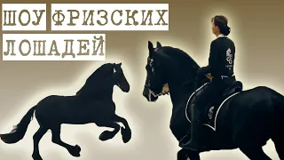 Шоу ФРИЗСКИХ лошадей на выставке "Конная Россия-2019"