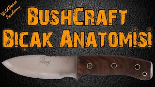 Bushcraft Bıçak Anatomisi