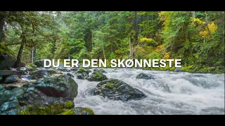 Gud, jeg er ik' tilfreds! |  Lyrics video