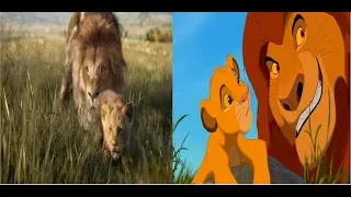 The Lion King (1994/2019) Pouncing lesson