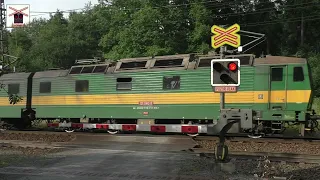 Vojtěch Bernátek | Kompilace Železničních přejezdů 2021 | Czech Level Crossing Compilation 2021