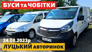 ЦІНИ на БУСИ та ЧОБІТКИ /// Луцький авторинок /// 24 серпня 2023р