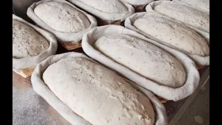 Fabrication du pain au levain et blés anciens - 4 ) Le Façonnage