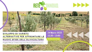 Sviluppo di varietà alternative per affrontare le nuove sfide dell’olivicoltura