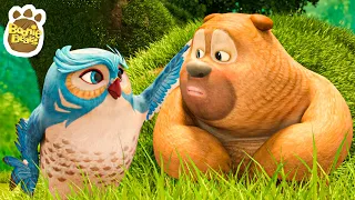 BABY BIRDY🌈👀 BOONIE BEARS 🐻🐻Bear Cartoon 💯💯 Cartoon In HD | Full Episode In HD 🥰