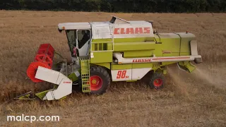 Harvest 2021 -  Claas Dominator 98 SL Classic cutting OSR in Suffolk