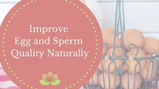 Improve Your Fertility Naturally: Improve Egg and Sperm Quality Naturally