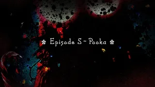 POOKA Analysis & Discussion | The First Picture Show