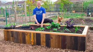 How to Build a RAISED BED Using PALLETS, FREE Backyard Gardening