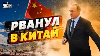Путин внезапно рванул в Китай. Чего ждать Украине и РФ? Детальный разбор
