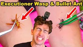 STUNG by Bullet Ant and Executioner Wasp at the SAME TIME! (EXPOSED Coyote Peterson)