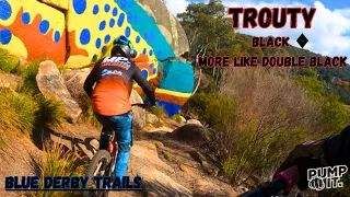 My experience on Trouty Black diamond MTB Trail | Blue Derby Trails