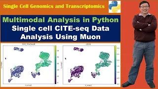 Multimodal Analysis in Python: Single cell CITE-seq Data Analysis Using Muon