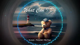 DJ Jedy, Pokaraet, Niki Four  - What Can I Do