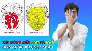 Tác Động Đến TIM và NÃO dựa trên quy tắc Phản Chiếu - Diện Chẩn Bùi Quốc Châu | G.V Huỳnh Tâm Bình