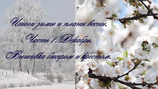 Итоги зимы 2020-21. Планы на весну. Вышивка бисером и крестом. Ч.1. Декабрь.